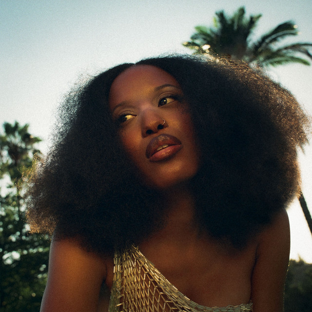 Coulda Saved Us album cover